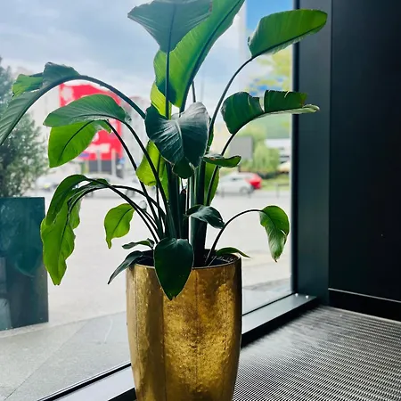 Night Mennica شقة وارسو